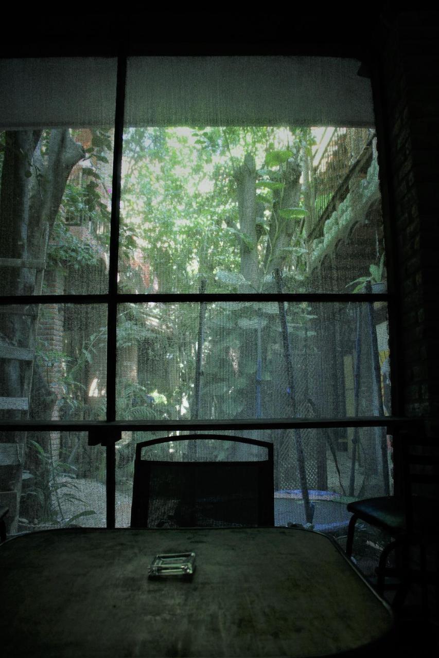 Tuxtla Gutiérrez La Casa Del Jardin Bed & Breakfast エクステリア 写真
