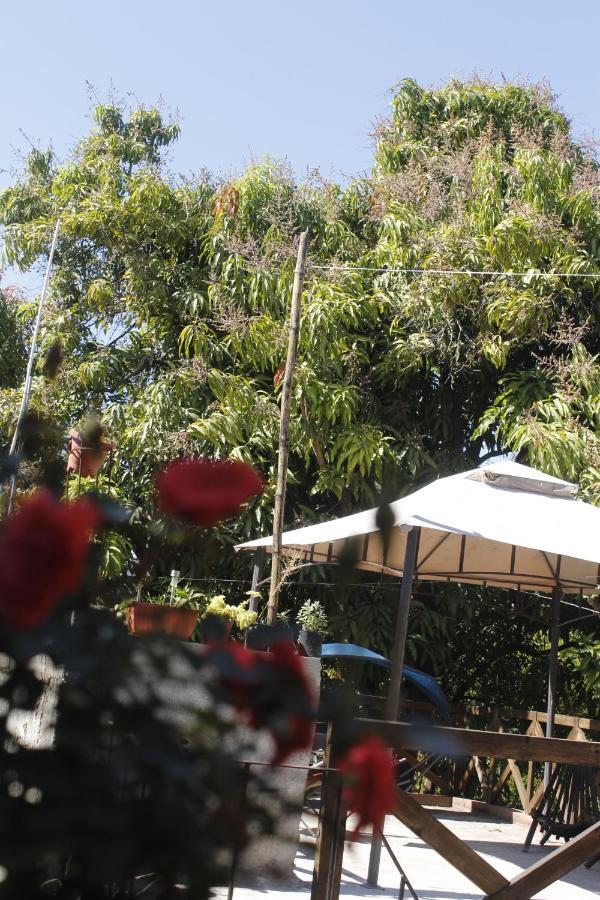 Tuxtla Gutiérrez La Casa Del Jardin Bed & Breakfast 部屋 写真